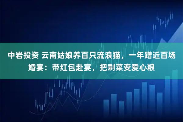 中岩投资 云南姑娘养百只流浪猫，一年蹭近百场婚宴：带红包赴宴，把剩菜变爱心粮